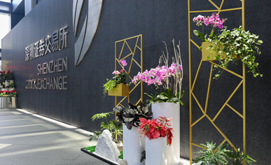 ����֤ȯ�������龰����