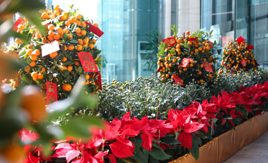 �������Ź㳡�껨��۰���