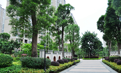 ��ݸ��Ϫ���̻�����